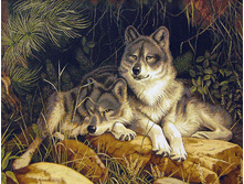 ����� - 2   105.0x80.0 ��  1280���