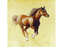 �������   90.0x70.0 �� 950���