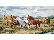 ��������� �����   160.0x60.0 ��     1450���