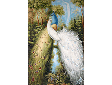 ������� - 2   70.0x107.0 �� 1250���