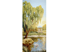 �������� ���   50.0x105.0 ��   850���