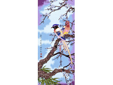 ������� �����   50.0x110.0 �� 950���