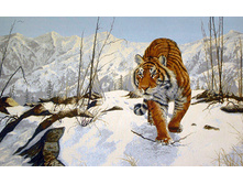 ������ (������)   120.0x75.0 ��   1350���