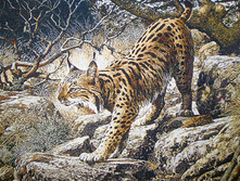 ����   90.0x60.0 ��  900���