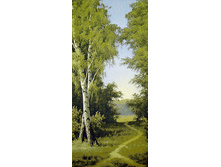 ������ ��������   55.0x105.0 ��  850���