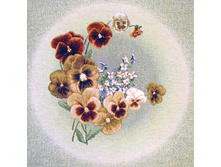 ������   50.0x50.0 ��  195���