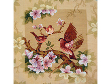 �����   50.0x50.0 ��    120���