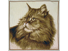 ���   50.0x50.0 ��  120���