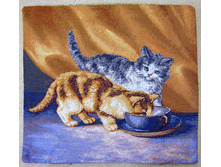 ������   50.0x50.0 ��   120���