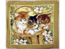 ������ � �������   50.0x50.0 ��    120���