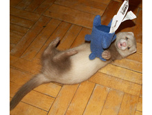 ����� � �����