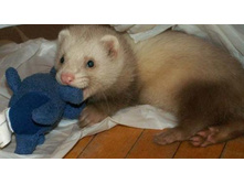 ������.........