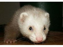 ��������� :)