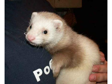 ���� �� ����