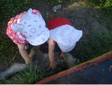 ������� ������ � ������ ����