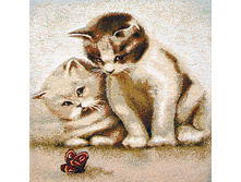 � ��������   60.0x40.0 ��    120���