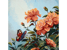 ���������   50.0x50.0 �� 120���