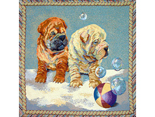 ������   50.0x50.0 ��    150���