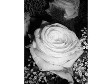 07.12.2010 23:24:47