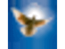 ������ �����, ��������� ...