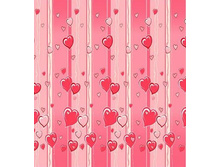 ���� ��������