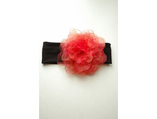 ������� � �������