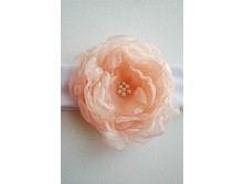 ������� � �������