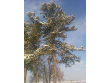 ��� �� �����. ��� ����!