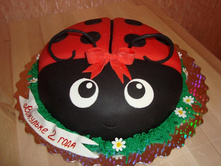 �����-�������