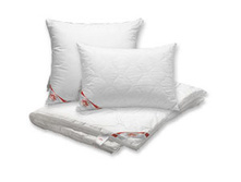 ������ ������� �� �������