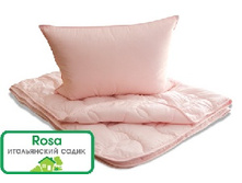 ������ ����� ���� �� �����