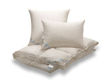 ������ �������� ���� �� �������