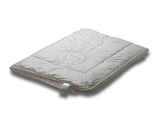 ������ ���� �� �������