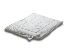 ������ ������ �� �������