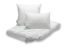 ������� ���� �� �������