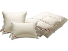 ������� ���� ������ �� �������