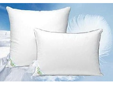 ������� TINTA UNO �� �����