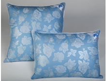 ������� TINTA FESTA �� �����