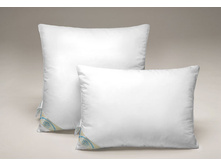 ������� TINTA DUE �� �����