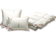 ������� �������� �� �������