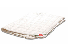 ����������� ���������