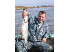 �������� �����.