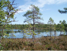 ���� �����