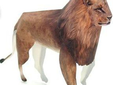 ����� ���