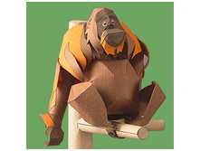 ���������