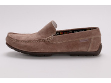 ������� 1364