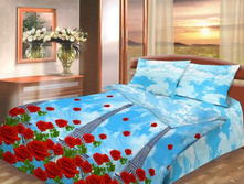 ��������- �����