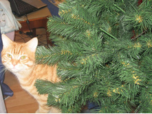 ��������� ����� ������)