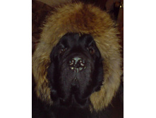 ��������� �����������))