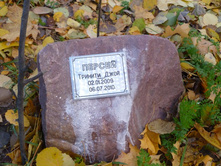 ���� ����